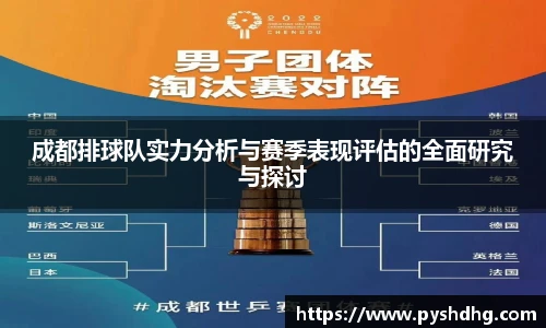 v66官网